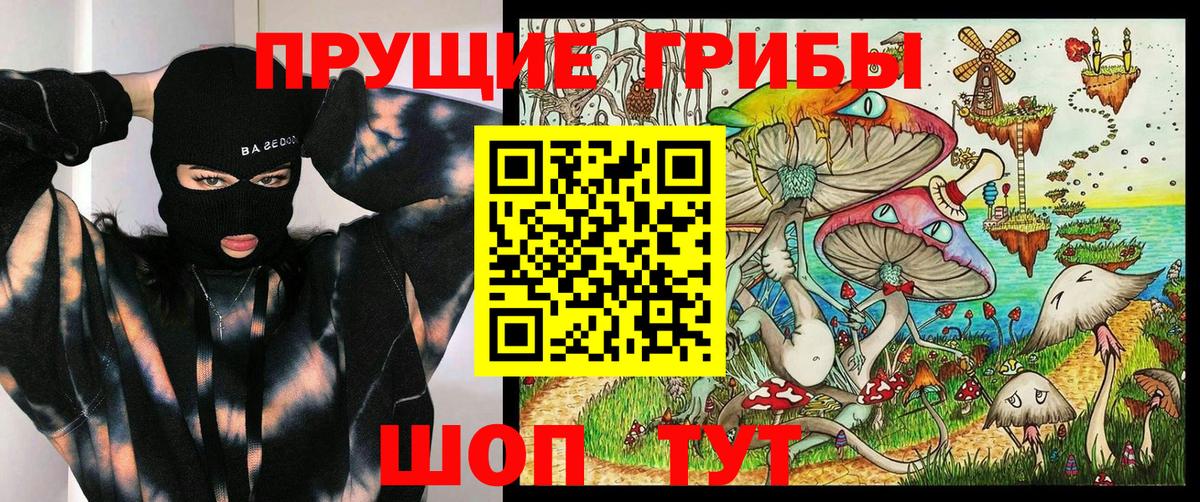 Тайшет  Псилоцибиновые грибы MAGIC MUSHROOMS  Вход с VPN 
